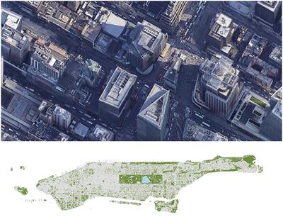 A Theory of City Biogeography and the Origin of Urban Species